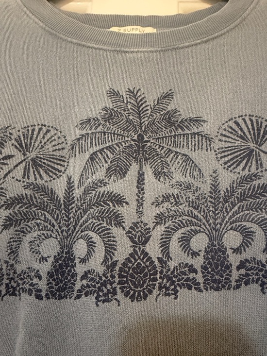 Z Supply Soft Blue Palm Tree 🌴 Cropped Crewneck - Picture 3 of 4